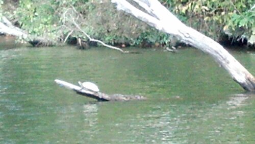 2012-10-21_13-55-45_120.jpg image